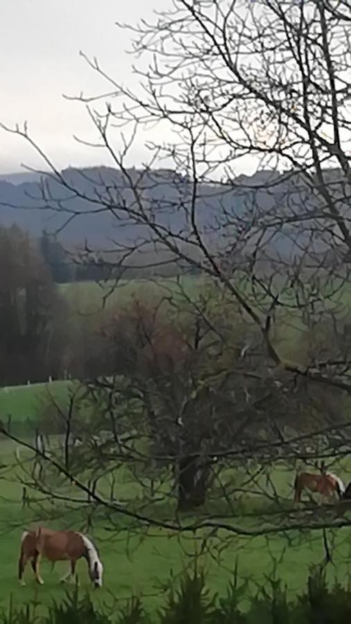 Lichtenhainer Hof Lichtenhain  Екстер'єр фото
