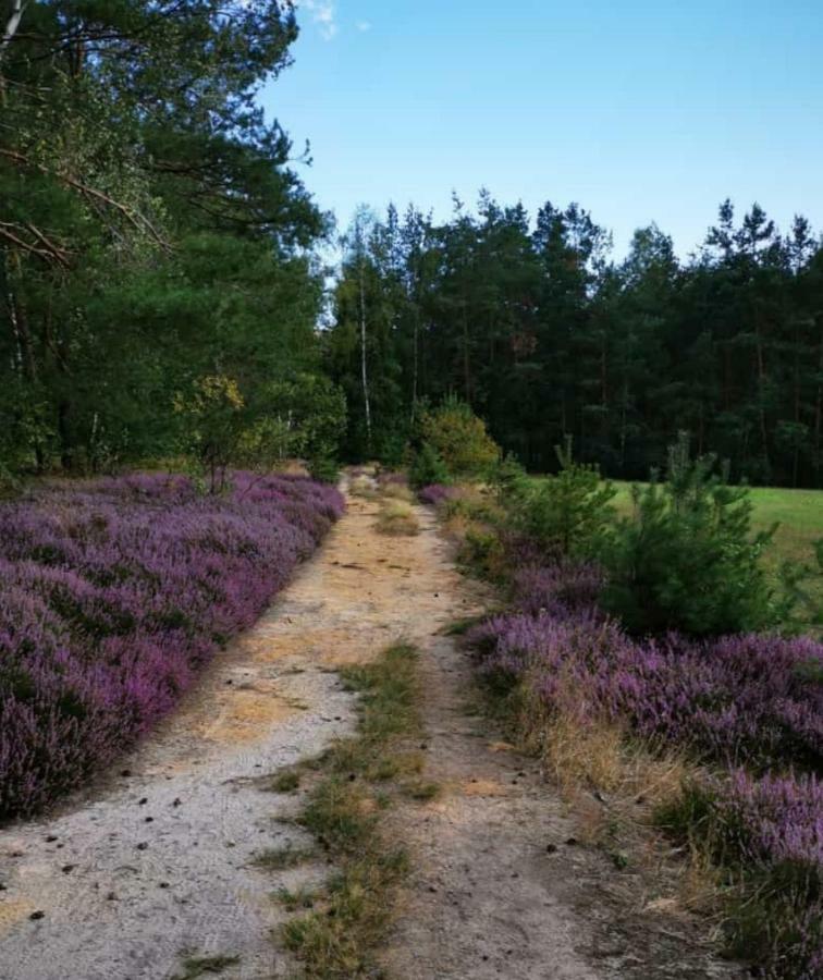 Lichtenhainer Hof Lichtenhain  Екстер'єр фото